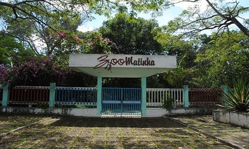 ZOO_MATINHA-500x300