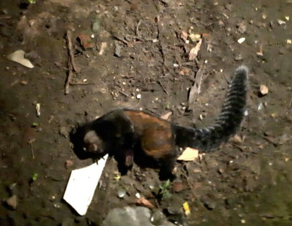 Foto: Keile Araújo - Blog Itororó Já 